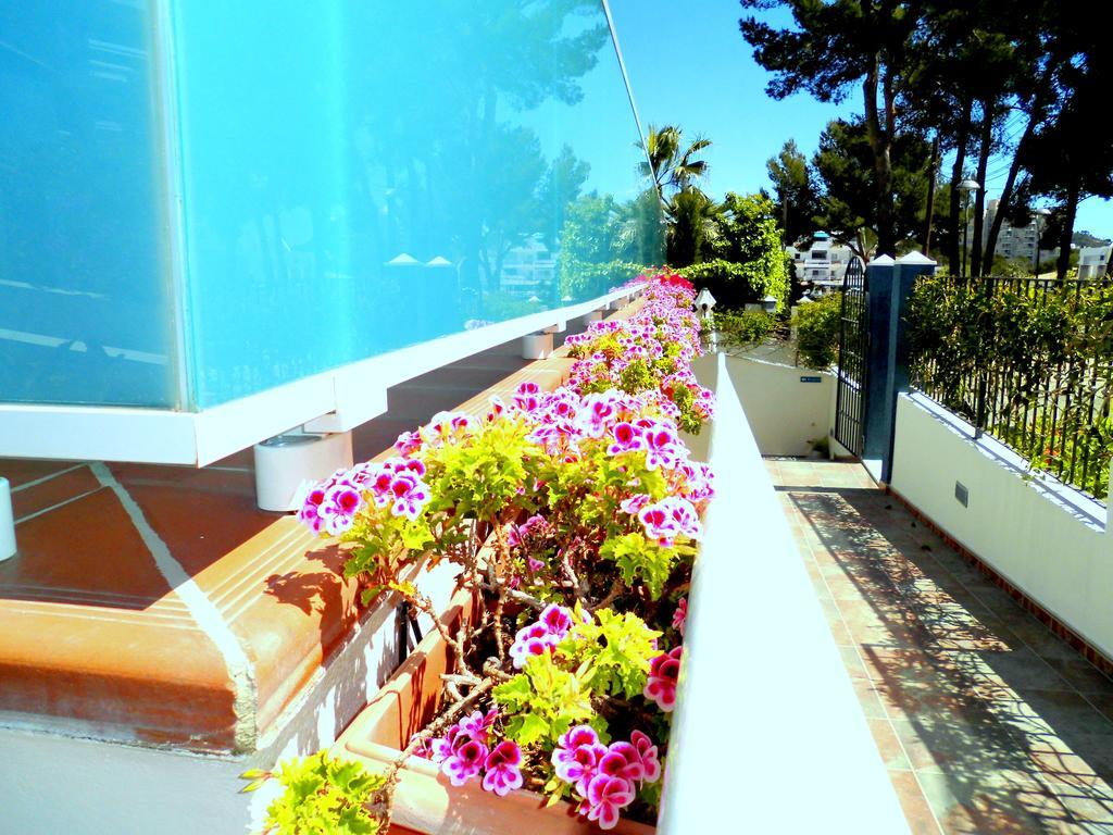 Appartement Petit Blau